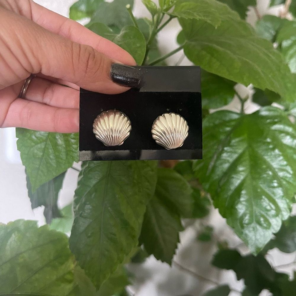 nwot silver color seashell stud earrings